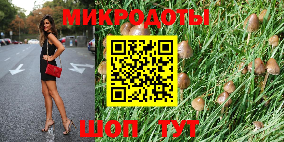 Ефремов  Псилоцибиновые грибы Psilocybine cubensis  Галлюциногенные грибы GOLDEN TEACHER  Вход с VPN 